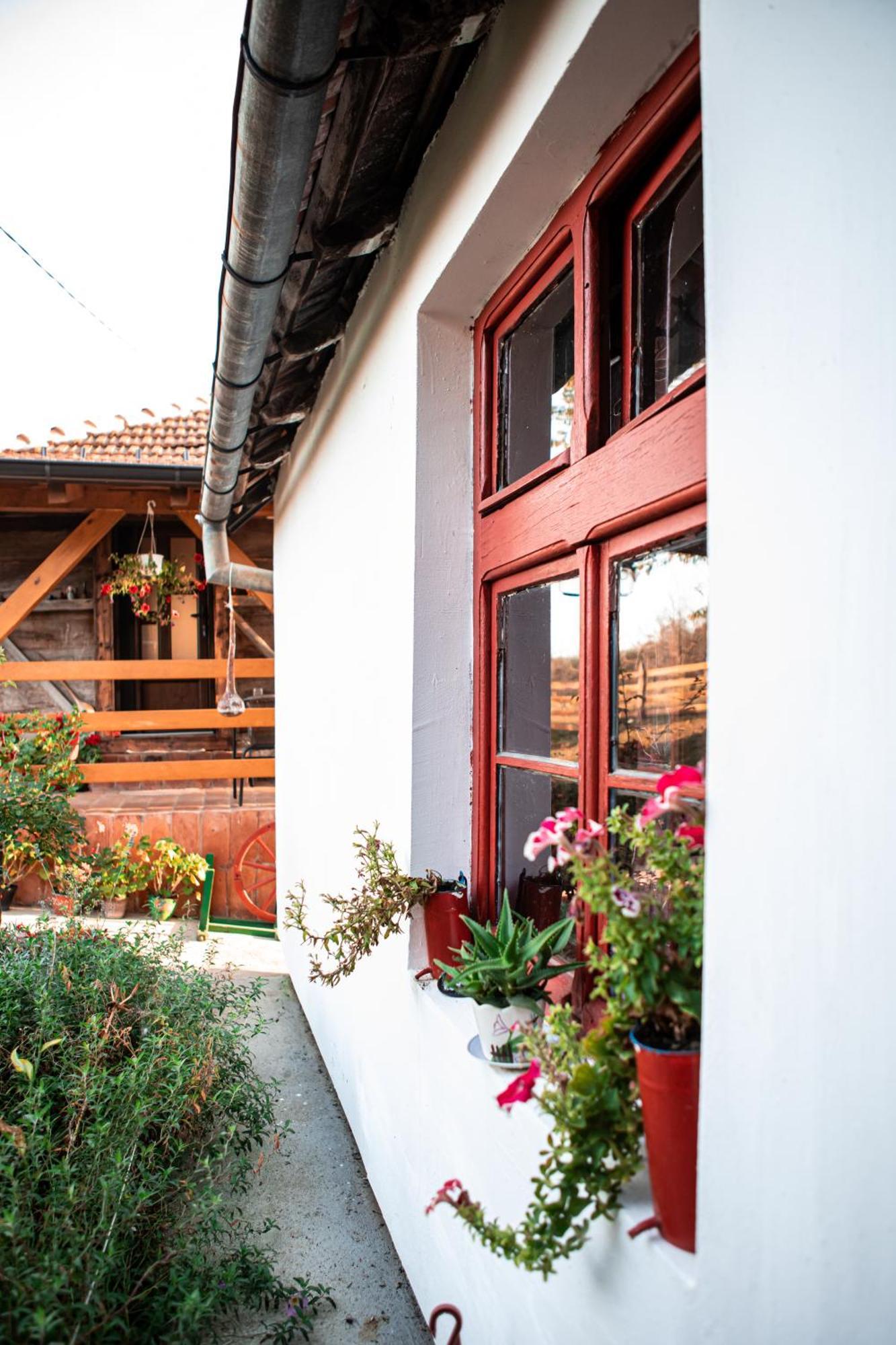 Prenociste Lelic Villa Valjevo Exterior photo