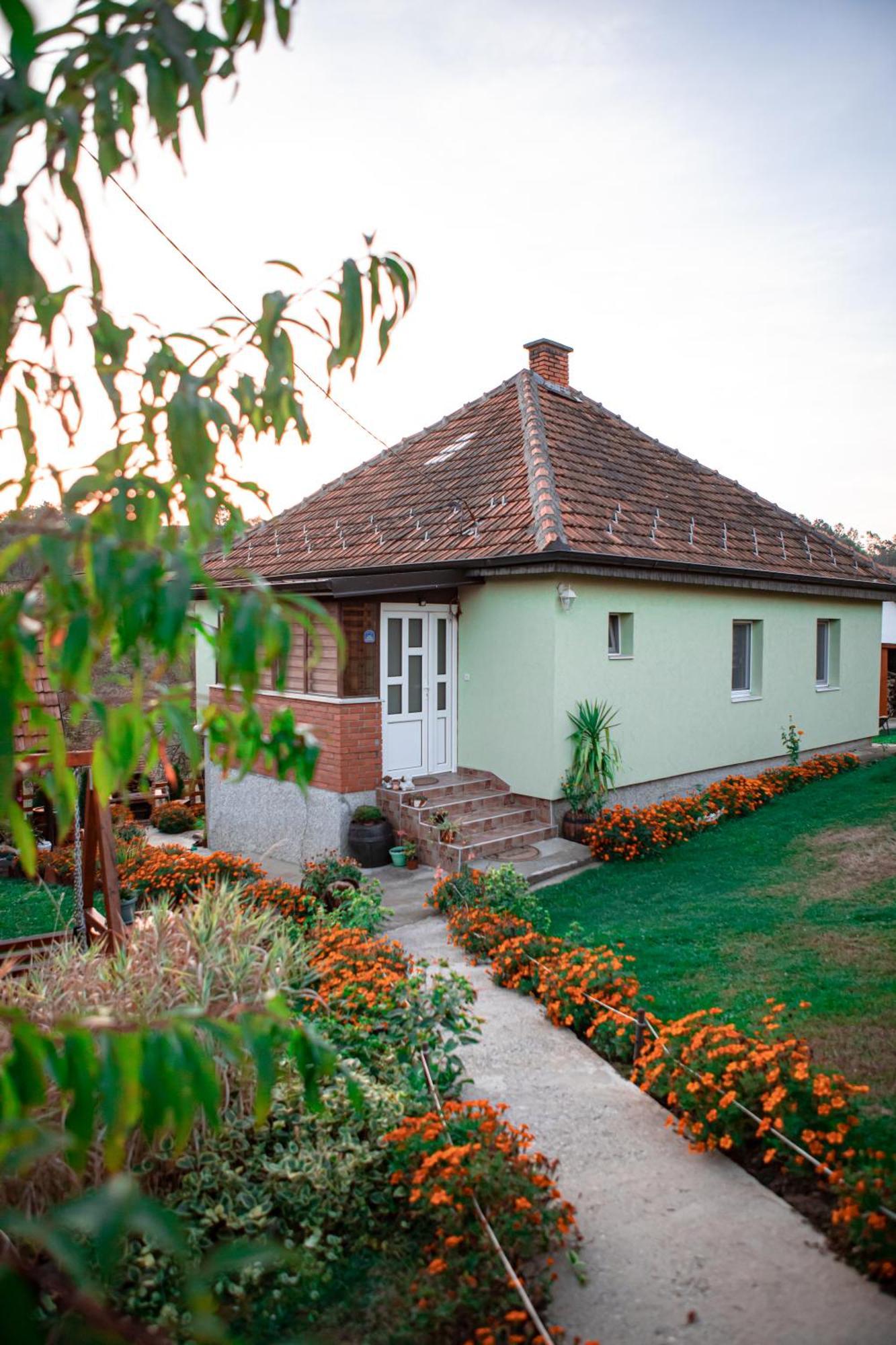 Prenociste Lelic Villa Valjevo Exterior photo